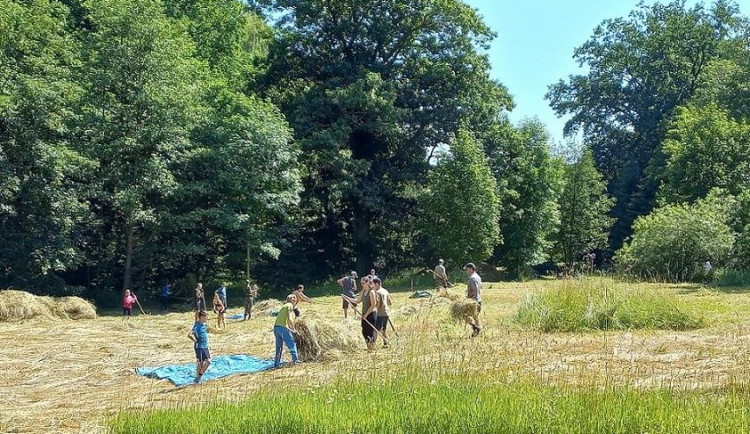 Dobrovolníci na lukách.