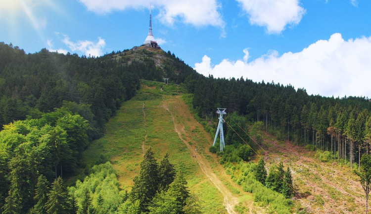 Výsadba stromů na Ještědu pokračuje, letos zalesní část sjezdovek Pod lany