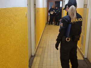 V Jablonci kontrolovali ubytovny. Společně je prověřili policisté, strážníci, hasiči, hygienici i veterináři