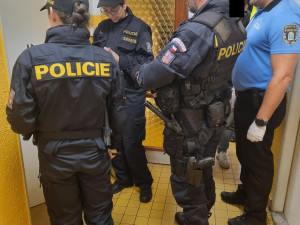 V Jablonci kontrolovali ubytovny. Společně je prověřili policisté, strážníci, hasiči, hygienici i veterináři