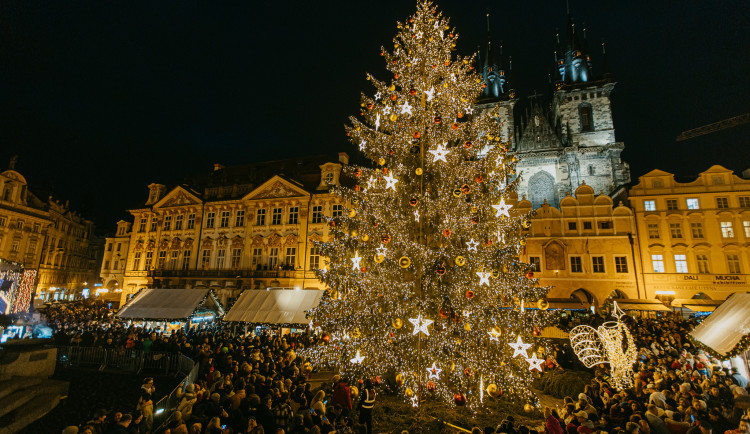 Loňský vánoční strom na Staroměstském náměstí.