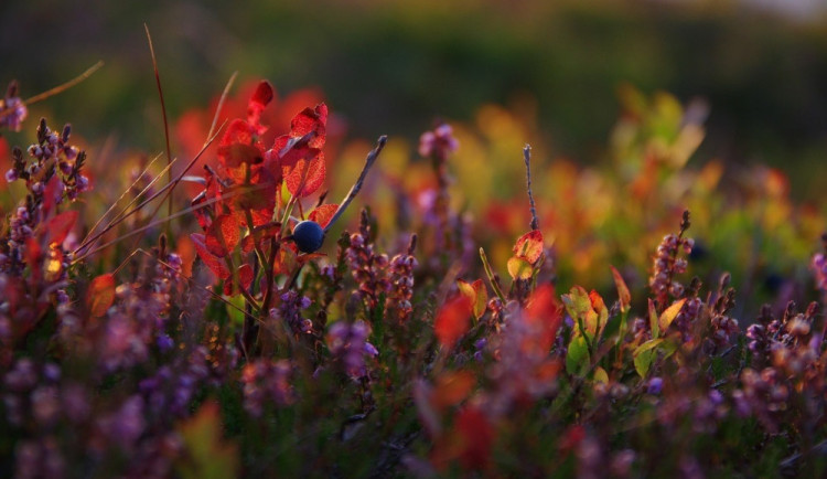 Nejvíc narváno z Krkonoš je pořád na Sněžce, i babí léto má na horách co nabídnout