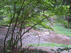 Stezku v Lidových sadech doplnila ohniště a čeká ji další vylepšení