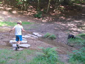 Stezku v Lidových sadech doplnila ohniště a čeká ji další vylepšení