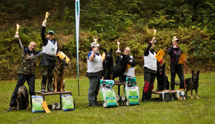 Nejlepší družstva.