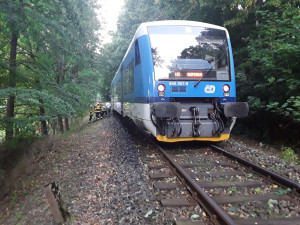 Vlak narazil u Raspenavy do spadlé větve, cestujícím se nic nestalo