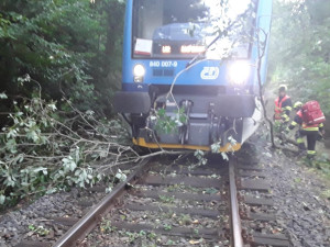Vlak narazil u Raspenavy do spadlé větve, cestujícím se nic nestalo