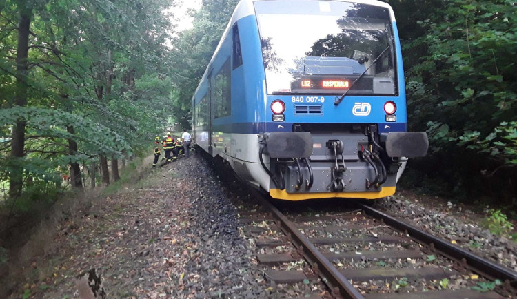 Vlak zastavený větví v kolejišti.