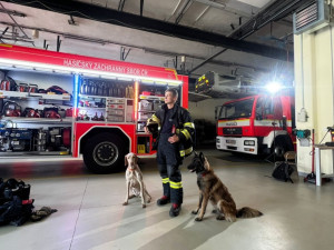 Hasič a kynolog je hlavním hrdinou dokumentu, který vypráví o důvěře mezi člověkem a zvířetem