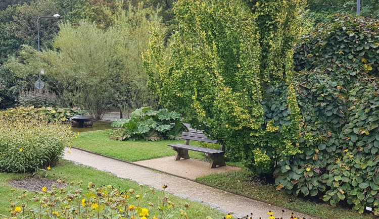 Nové lavičky v botanické zvou k posezení ve venkovních expozicích