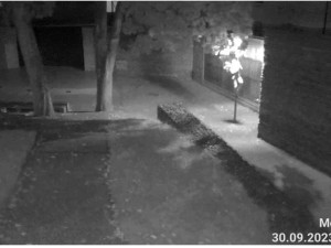 Mladík si nejspíš trénoval tanec u tyče, kolemjdoucího ale neoslnil