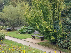 Nové lavičky v botanické zvou k posezení ve venkovních expozicích