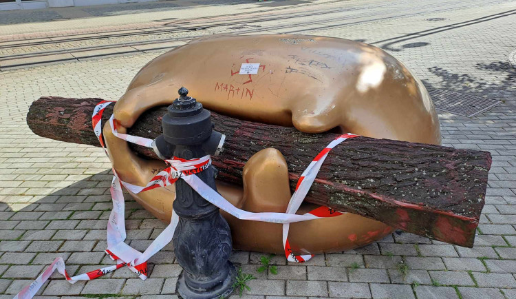 Věčná něha se stala terčem vandalů.