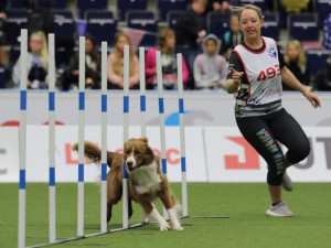 Šampionát v agility zná první mistry světa. O dalších se rozhodne o víkendu