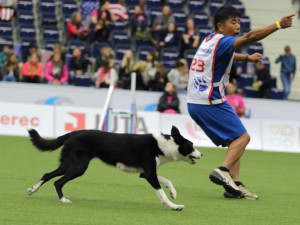 Šampionát v agility zná první mistry světa. O dalších se rozhodne o víkendu