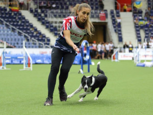 Šampionát v agility zná první mistry světa. O dalších se rozhodne o víkendu