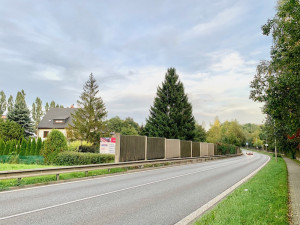 Liberec už vybral vánoční strom. Smrk ze zahrady v ulici České mládeže se na náměstí přestěhuje za měsíc