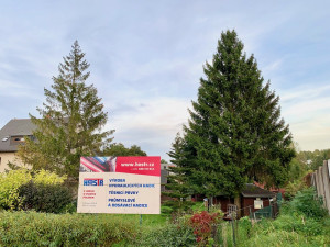 Liberec už vybral vánoční strom. Smrk ze zahrady v ulici České mládeže se na náměstí přestěhuje za měsíc