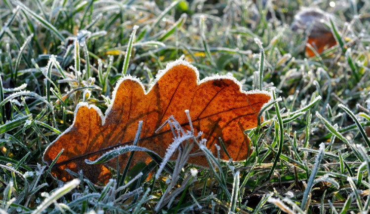 Tento týden mohou noční teploty klesnout pod nulu. Chladno bude i přes den