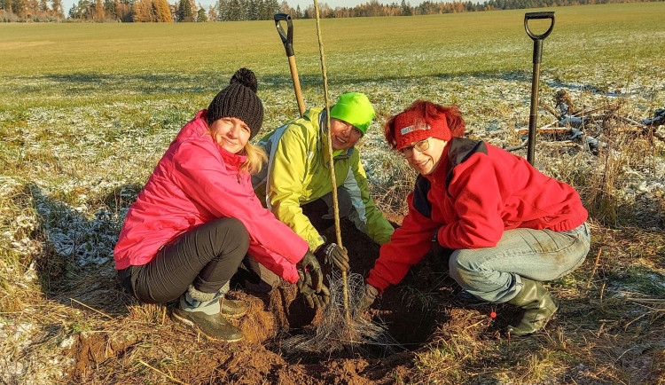 Alej vzpomínek v Ralsku se rozrůstá o hrušně a jabloně. Bude v ní 160 stromů