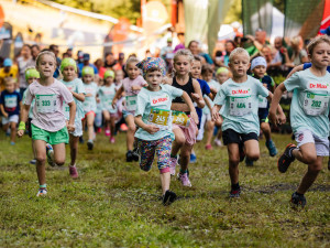 Lesy svolávají k oslavě jubilea! Registrace na 10. ročník Běhej lesy jsou spuštěny