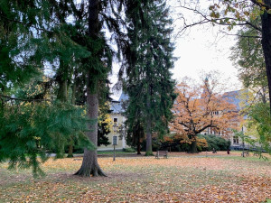 Muzejní park čeká rekonstrukce za 40 milionů. Čeká se na dotace