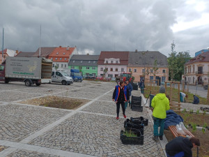 Oprava náměstí v Novém Městě spěje k závěru. Rozsvítí ho tisíce květů