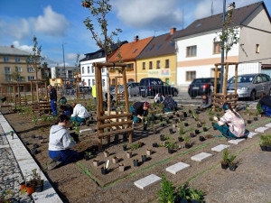 Oprava náměstí v Novém Městě spěje k závěru. Rozsvítí ho tisíce květů