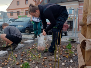 Oprava náměstí v Novém Městě spěje k závěru. Rozsvítí ho tisíce květů