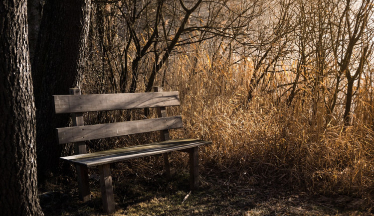 O víkendu se budou teploty držet kolem deseti stupňů. Na některých místech budou třeba deštníky