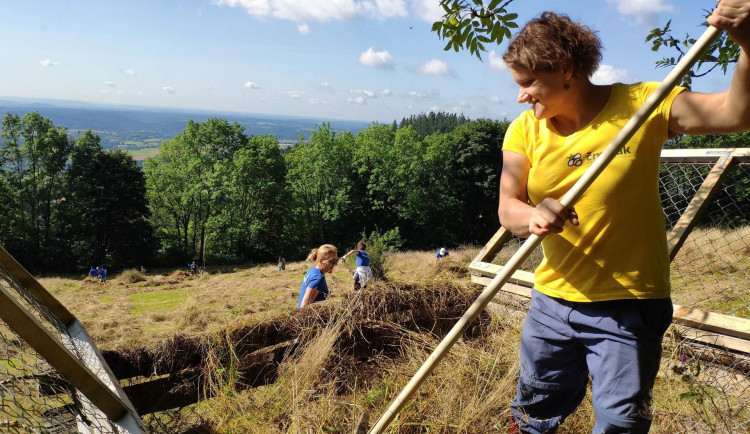 Hadník na Proseči. 