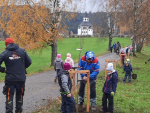 Děti vysadily na počest válečných veteránů u Tesařovské kaple jeřáby jedlé