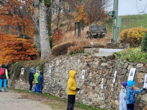 Děti vysadily na počest válečných veteránů u Tesařovské kaple jeřáby jedlé