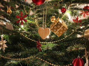 Organizacím pomáhajícím dětem nabízí lesníci vánoční stromky zdarma