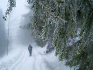 Další sněžení i mráz až mínus 11. Zima v Libereckém kraji vydrží celý týden