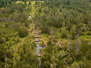Spolek dokončil obnovu největšího rašeliniště Jizerek. Vodu zadržují dřevěné hrázky