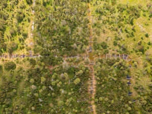 Spolek dokončil obnovu největšího rašeliniště Jizerek. Vodu zadržují dřevěné hrázky