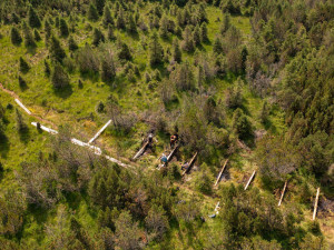 Spolek dokončil obnovu největšího rašeliniště Jizerek. Vodu zadržují dřevěné hrázky