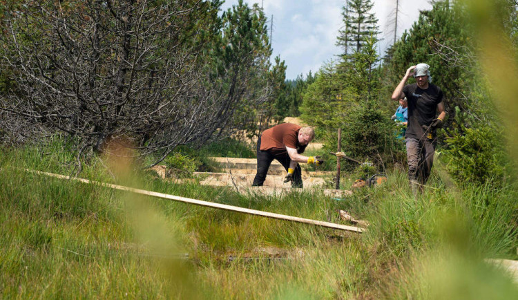 Spolek dokončil obnovu největšího rašeliniště Jizerek. Vodu zadržují dřevěné hrázky