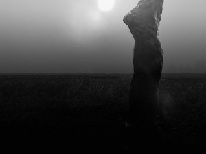 Vášní Sebastiana Wojnara je sochařské řemeslo. To nejlepší ze své tvorby představuje v Praze