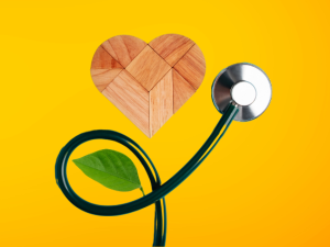 Zásady zdravého životního stylu s Cara Plasmou, nejen pro dárce krevní plasmy