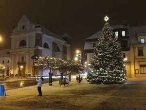 ANKETA: Města v kraji rozsvítila vánoční stromky. Který je nejhezčí?