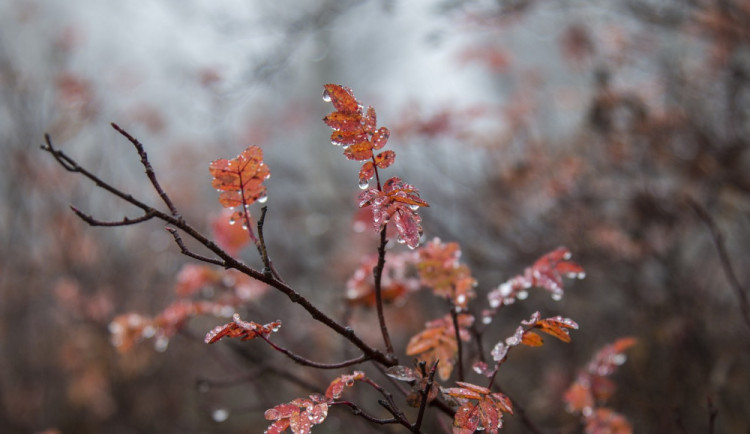 V týdnu se na Liberecku oteplí. Rtuť teploměru se může dostat až na osm stupňů
