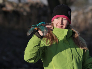 Záchranné stanice jsou přeplněné. Přijaly rekordní počet zvířat