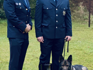 Se svým psím parťákem zachránil život muži. Stal se psovodem roku