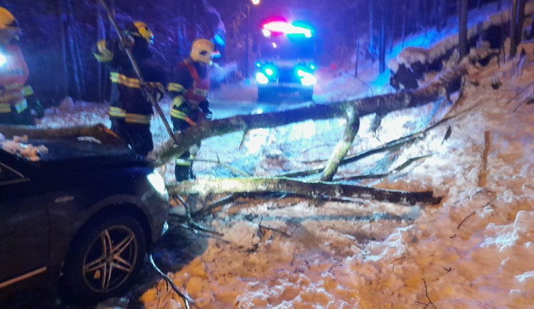 Skoro dvě stovky událostí. Hasiči v Libereckém kraji na Štědrý den odstraňovali spadané stromy a větve