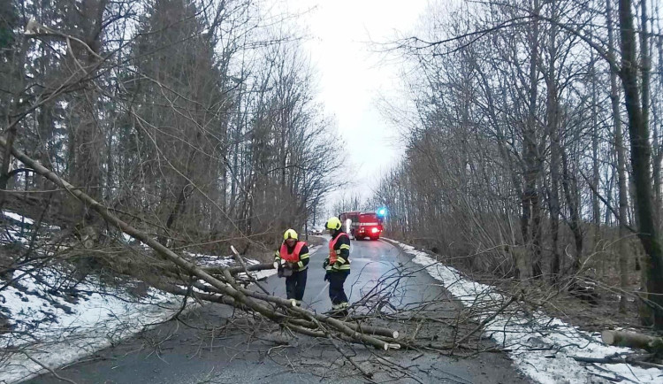 Jeden ze zásahů vánočních svátků.