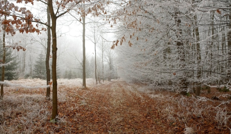 O víkendu se razantně ochladí. Přes den klesnou teploty na mínus pět stupňů
