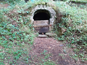 Na začátku byla fotografie a vzpomínky německé rodačky. Hornovu studánku v Ralsku se podařilo obnovit