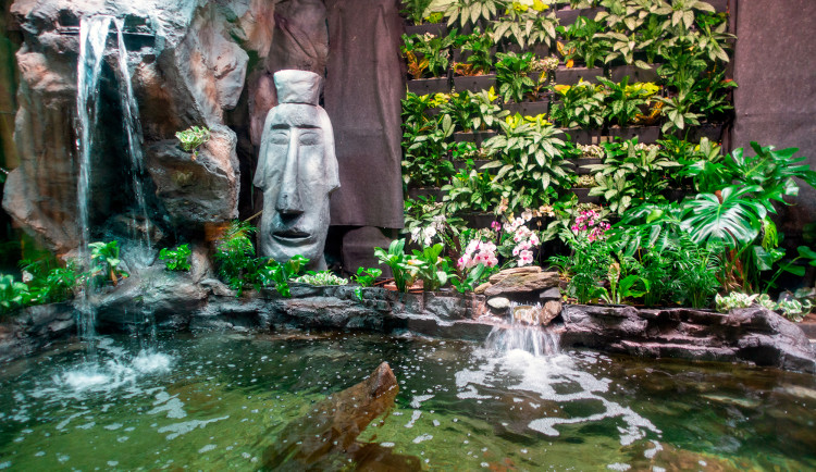 Wellness Hotel Frymburk láká na bazény, sauny, Svět pod hladinou i pobytové balíčky